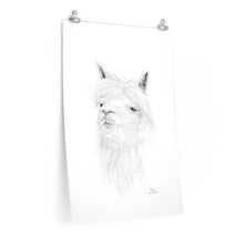 ASHA Llama- Art Paper Print