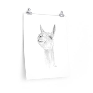 DAVYN Llama- Art Paper Print