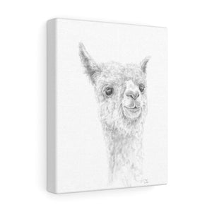 REX Llama - Art Canvas