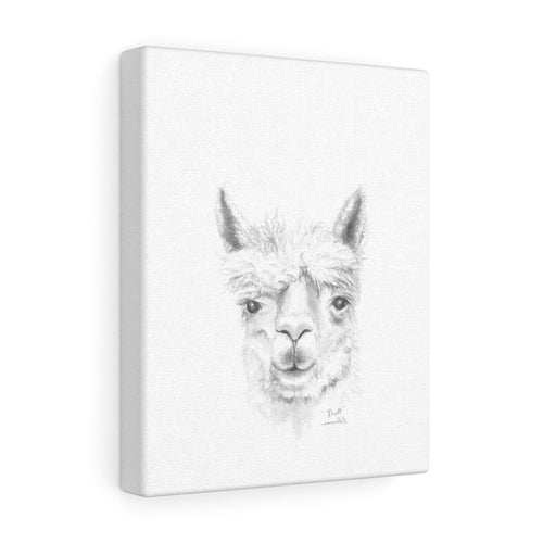 RHETT Llama - Art Canvas