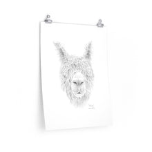 MELISSA Llama- Art Paper Print