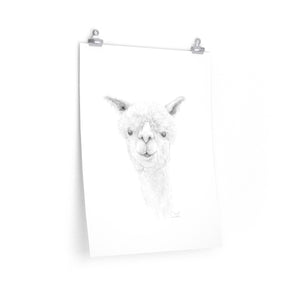 JARED Llama- Art Paper Print