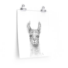 KELLY Llama- Art Paper Print