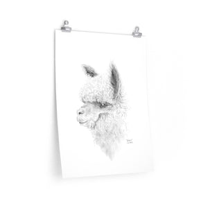 JACKSON Llama- Art Paper Print
