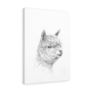RANDY Llama - Art Canvas