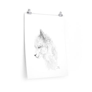 SASHA Llama- Art Paper Print