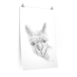 MEADOW Llama- Art Paper Print