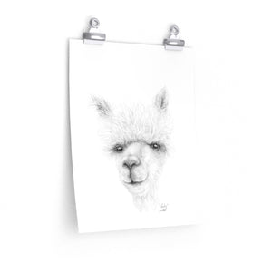 KADY Llama- Art Paper Print