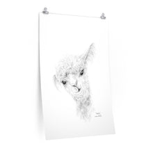 NATALIA Llama- Art Paper Print