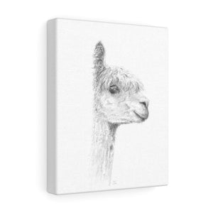 Piper Llama - Art Canvas