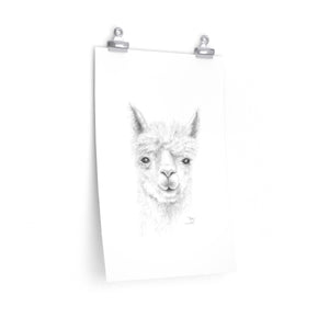 RICKY Llama- Art Paper Print