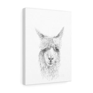 GAELLE Llama - Art Canvas