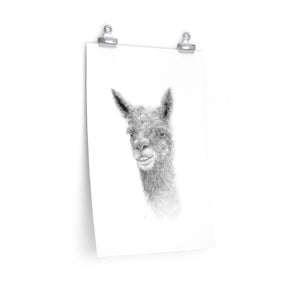 TATE Llama- Art Paper Print