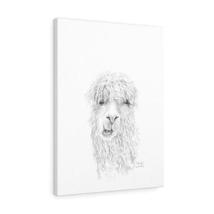 BROOKE Llama - Art Canvas