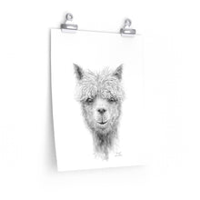 DANIEL Llama- Art Paper Print