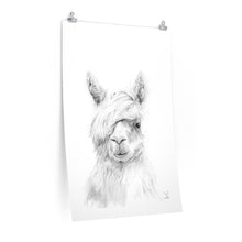 JOEL Llama- Art Paper Print