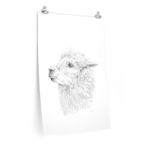 VERA Llama- Art Paper Print