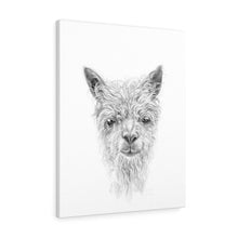 SAWYER Llama - Art Canvas