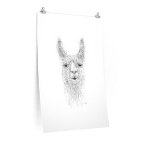 LEA Llama- Art Paper Print