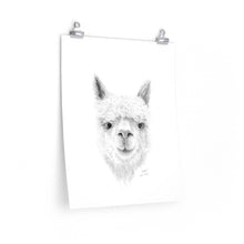 SOPHIA Llama- Art Paper Print