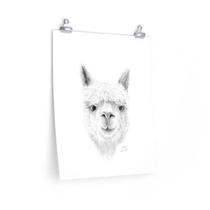 SOPHIA Llama- Art Paper Print