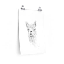 CARI Llama- Art Paper Print