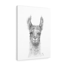 KELLY Llama - Art Canvas
