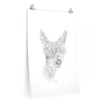 DAVID Llama- Art Paper Print