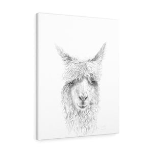 GAELLE Llama - Art Canvas