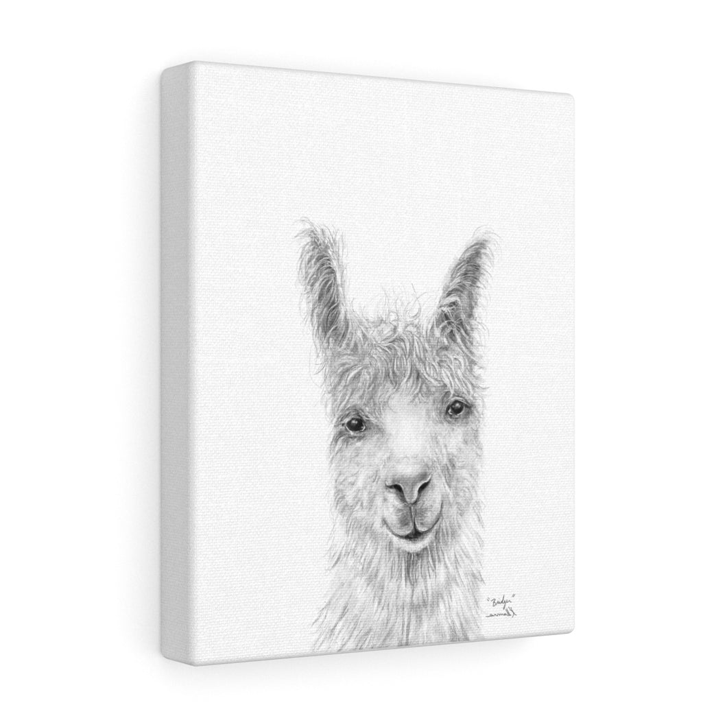 BRIDGER Llama - Art Canvas