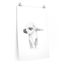 DEBI Llama- Art Paper Print