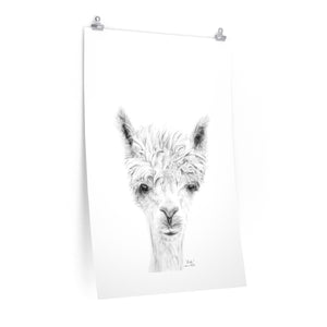 MIRKO Llama- Art Paper Print