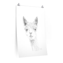 BRANDON Llama- Art Paper Print