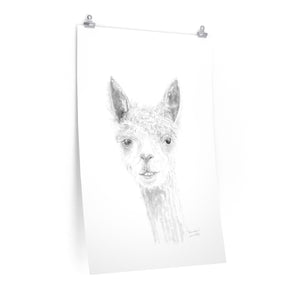 BRANDON Llama- Art Paper Print