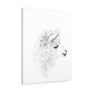 ARIANA Llama - Art Canvas