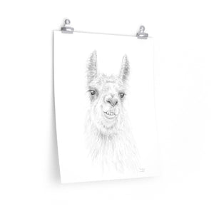 COURTNEY Llama- Art Paper Print