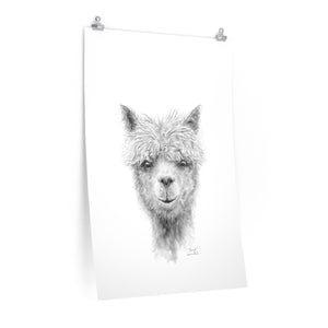 DANIEL Llama- Art Paper Print