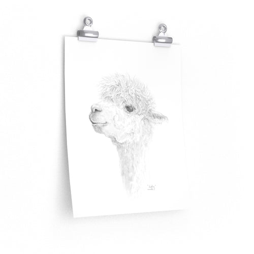 HADLEY Llama- Art Paper Print