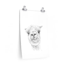 MYKA Llama- Art Paper Print