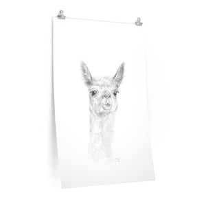 MADDIE Llama- Art Paper Print