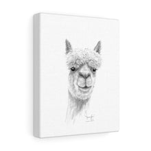 JENNIFER Llama - Art Canvas