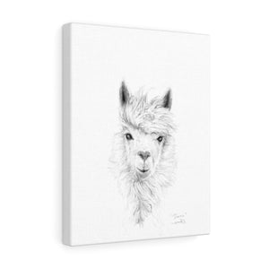 DIANE Llama - Art Canvas
