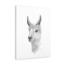 TEELE Llama - Art Canvas