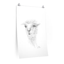 ASHER Llama- Art Paper Print