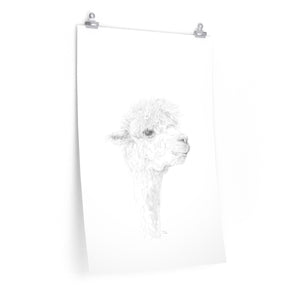JULIANA Llama- Art Paper Print