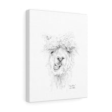 JONATHON Llama - Art Canvas