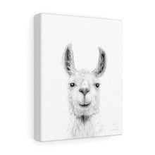 TANYA Llama - Art Canvas