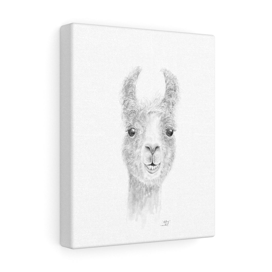 MALLORY Llama - Art Canvas