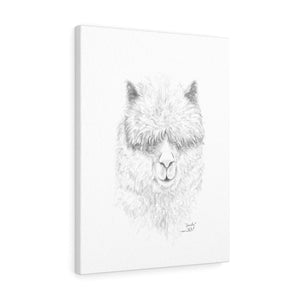 OMILY Llama - Art Canvas
