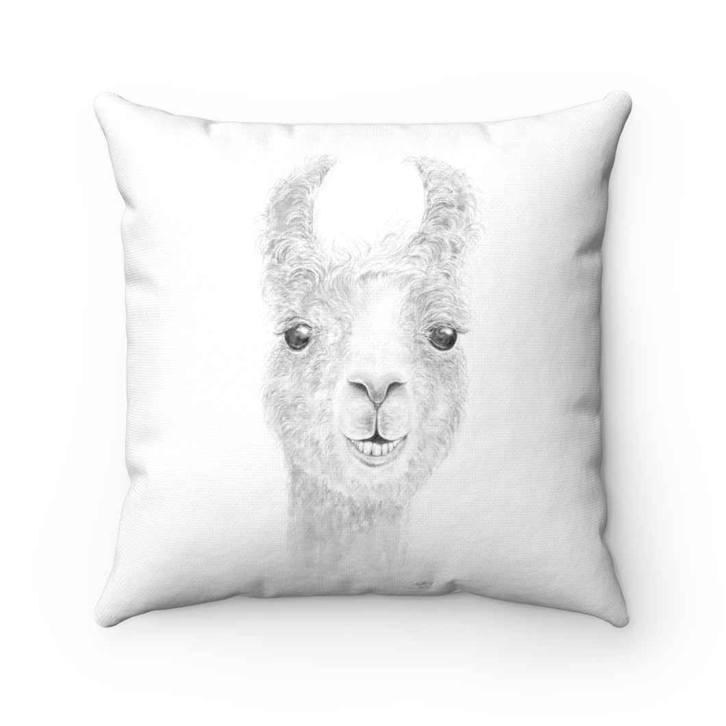 Llama Pillow - MALLORY